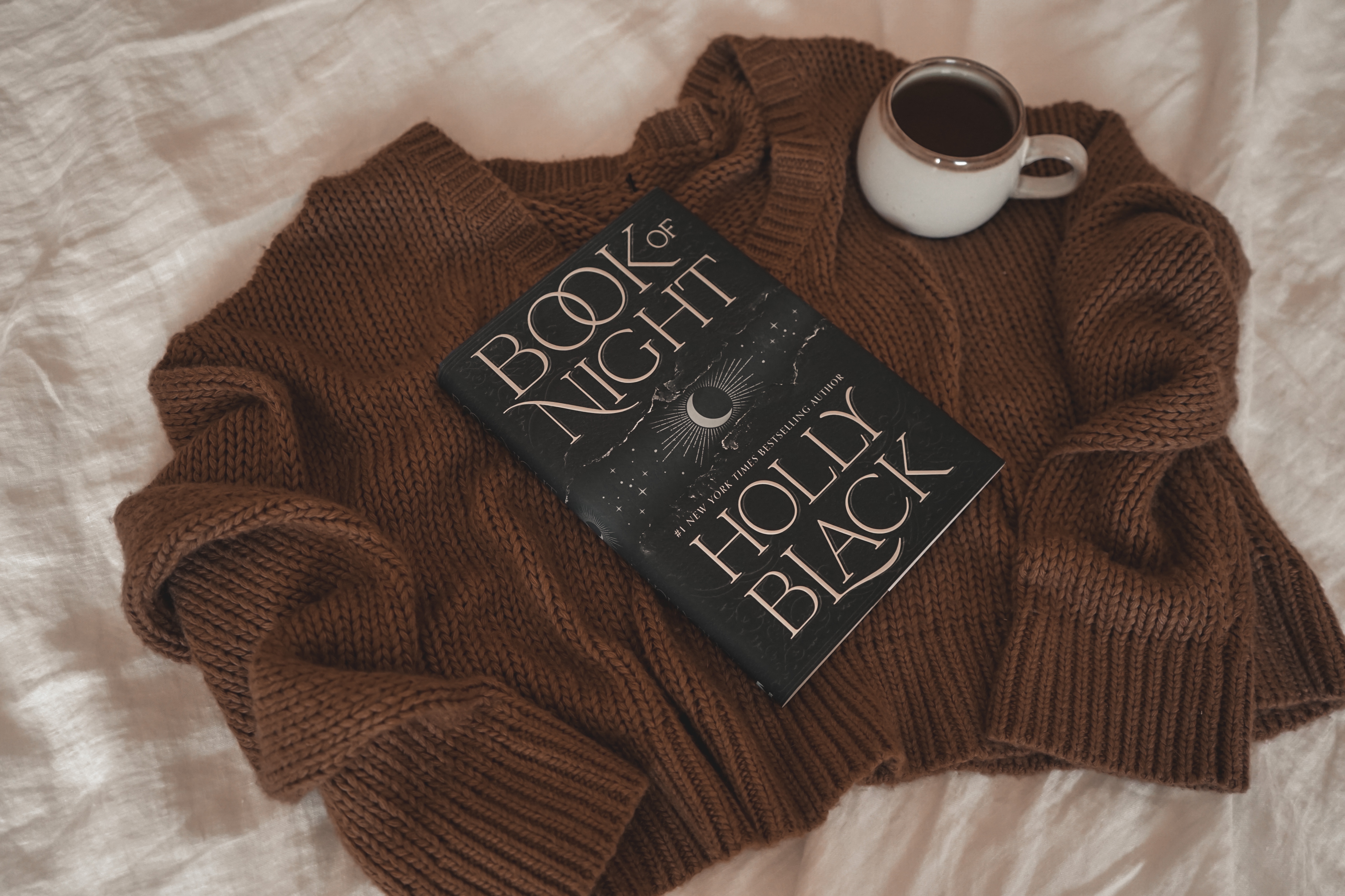 Book of Night by Holly Black