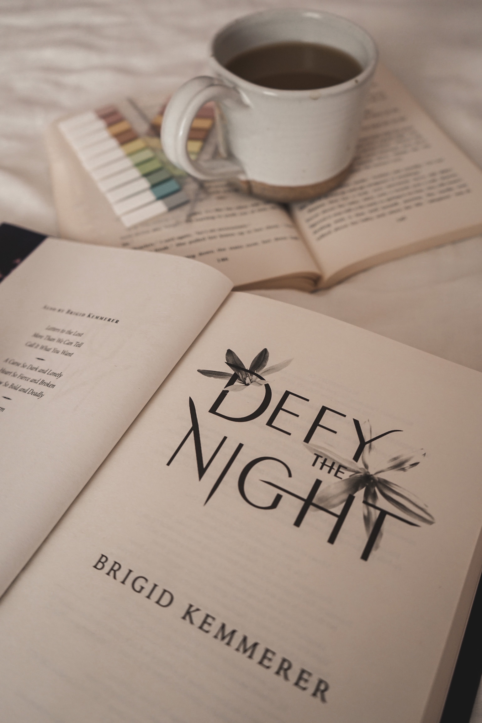 Defy the Night by Brigid Kemmerer