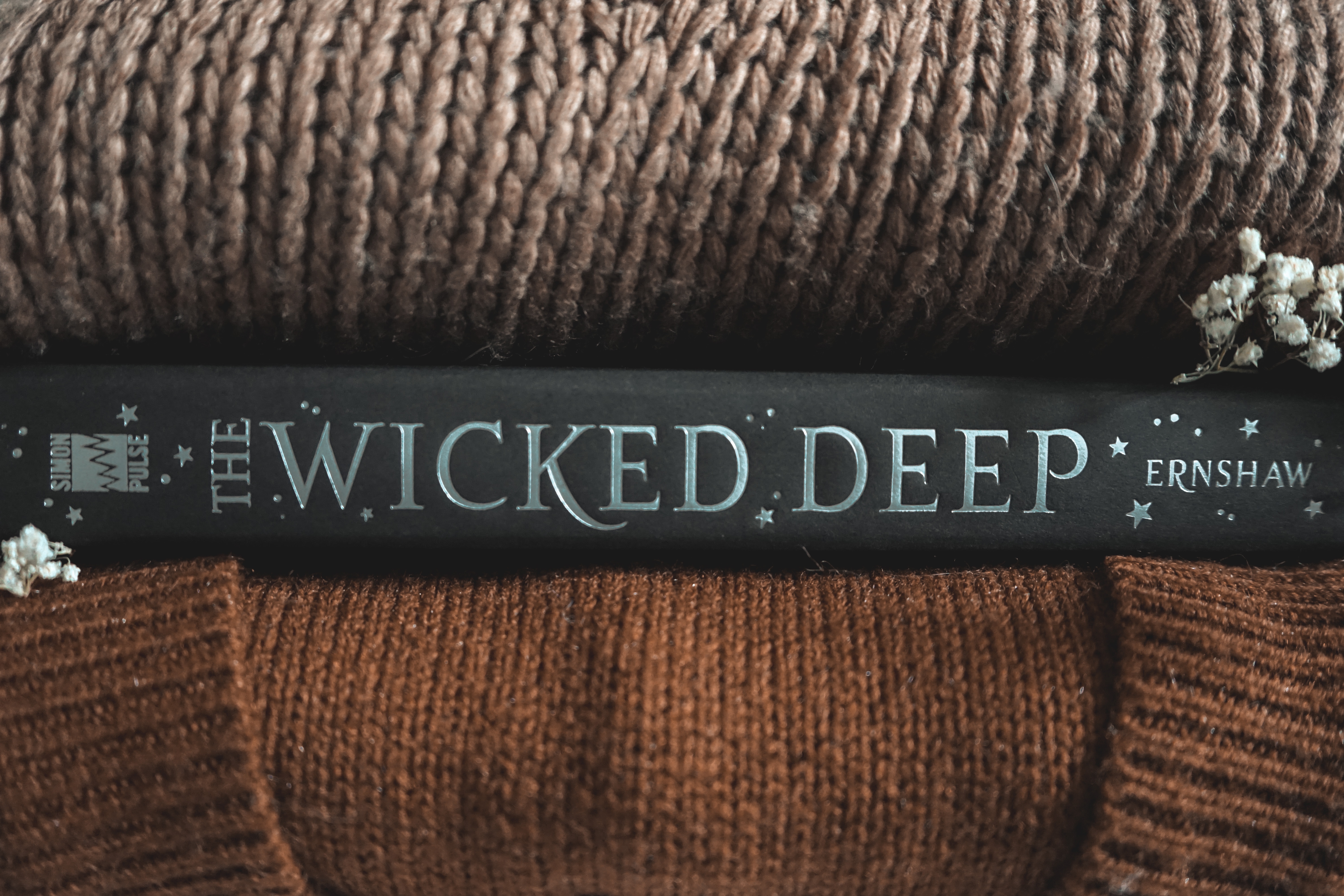 The Wicked Deep by Shea Ernshaw