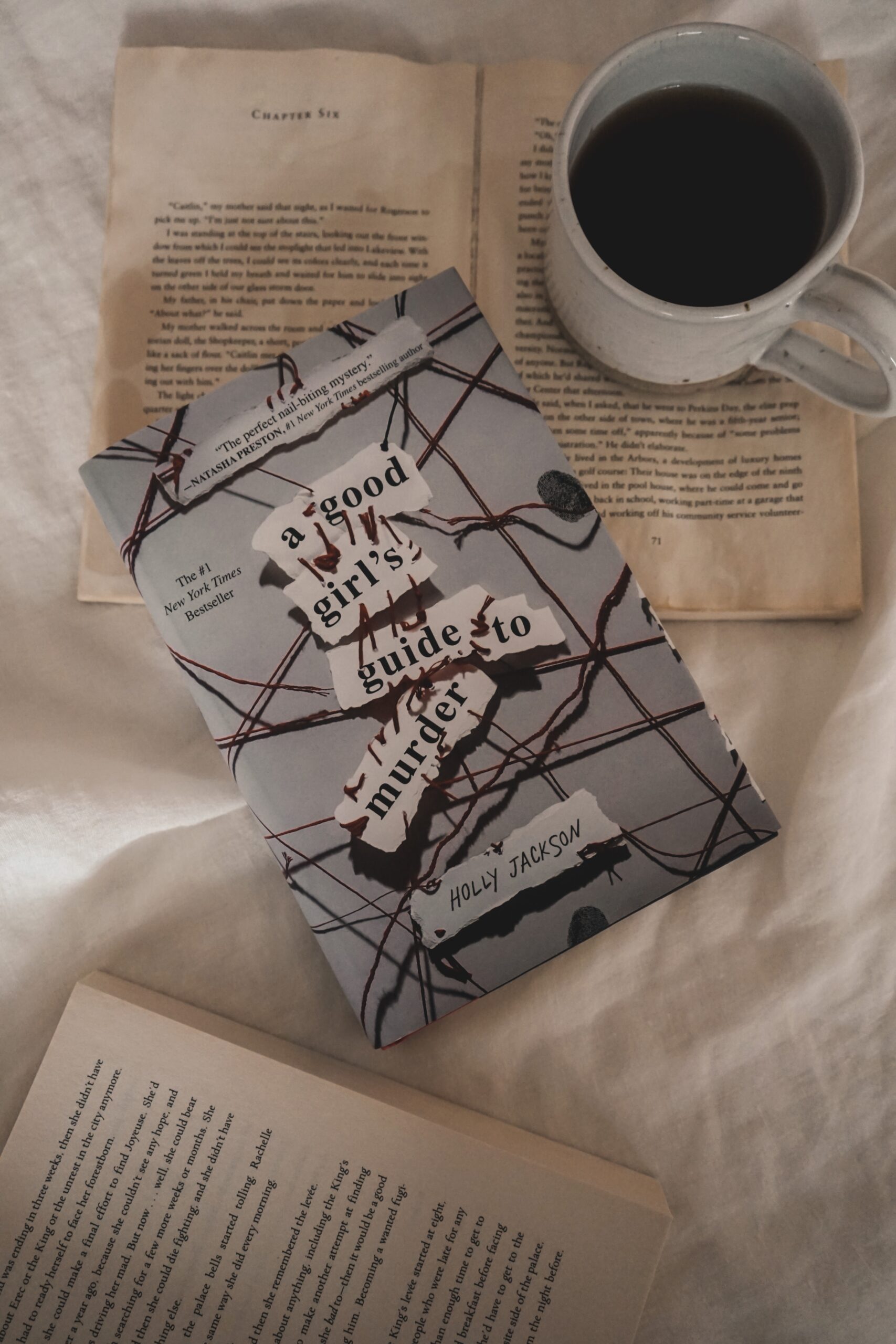 A Good Girl’s Guide to Murder by Holly Jackson
