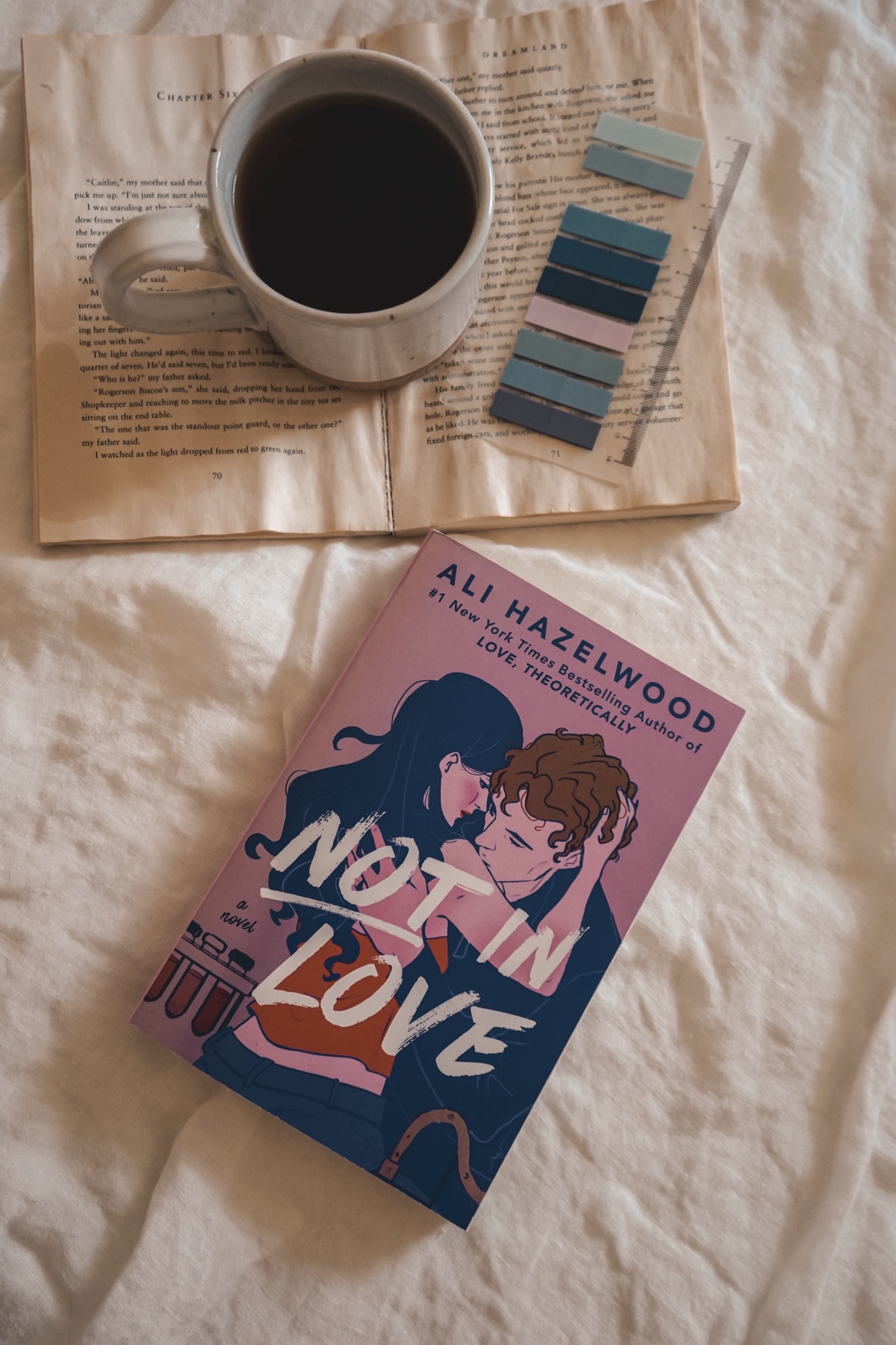 Not in Love by Ali Hazelwood