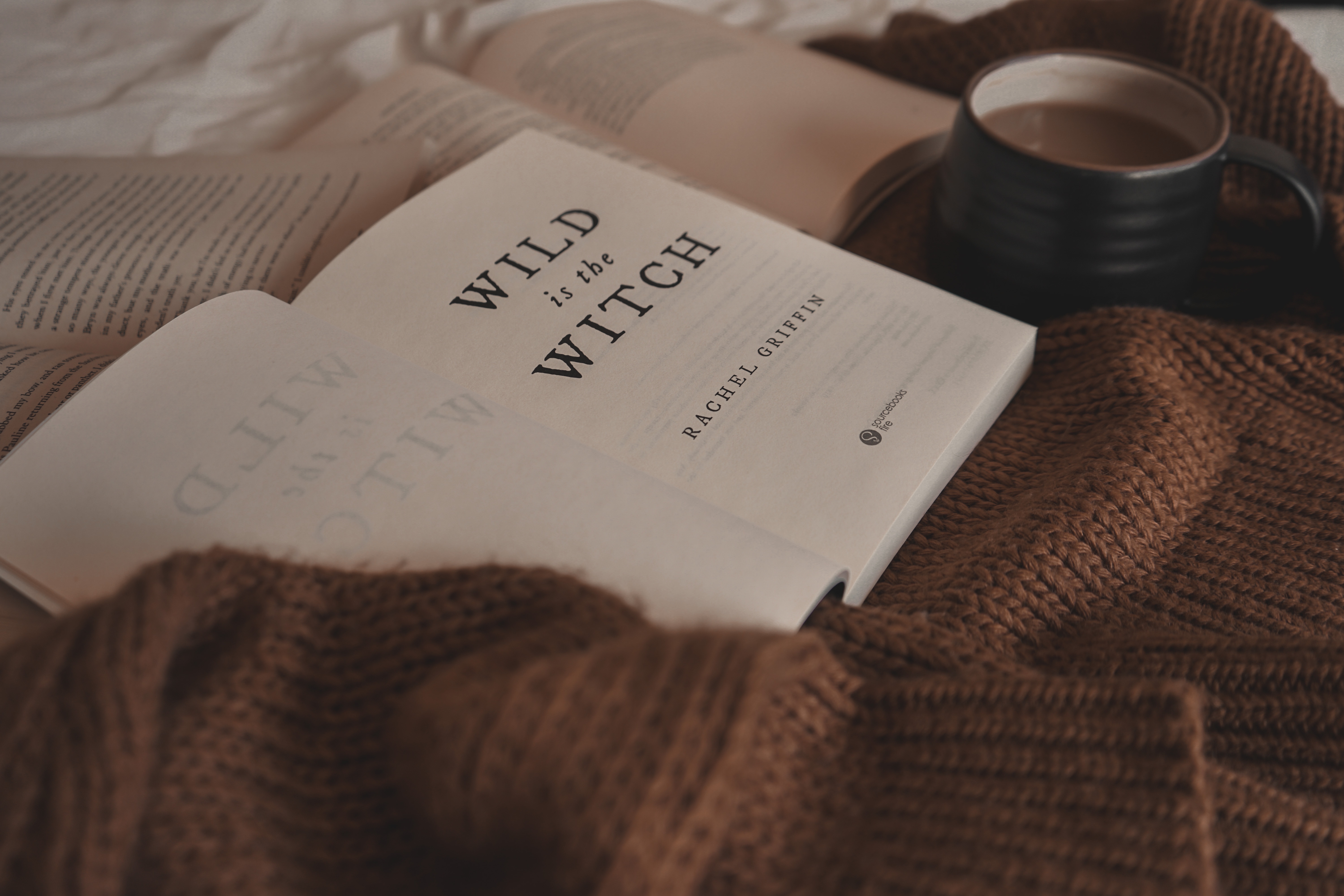 Wild is the Witch by Rachel Griffin