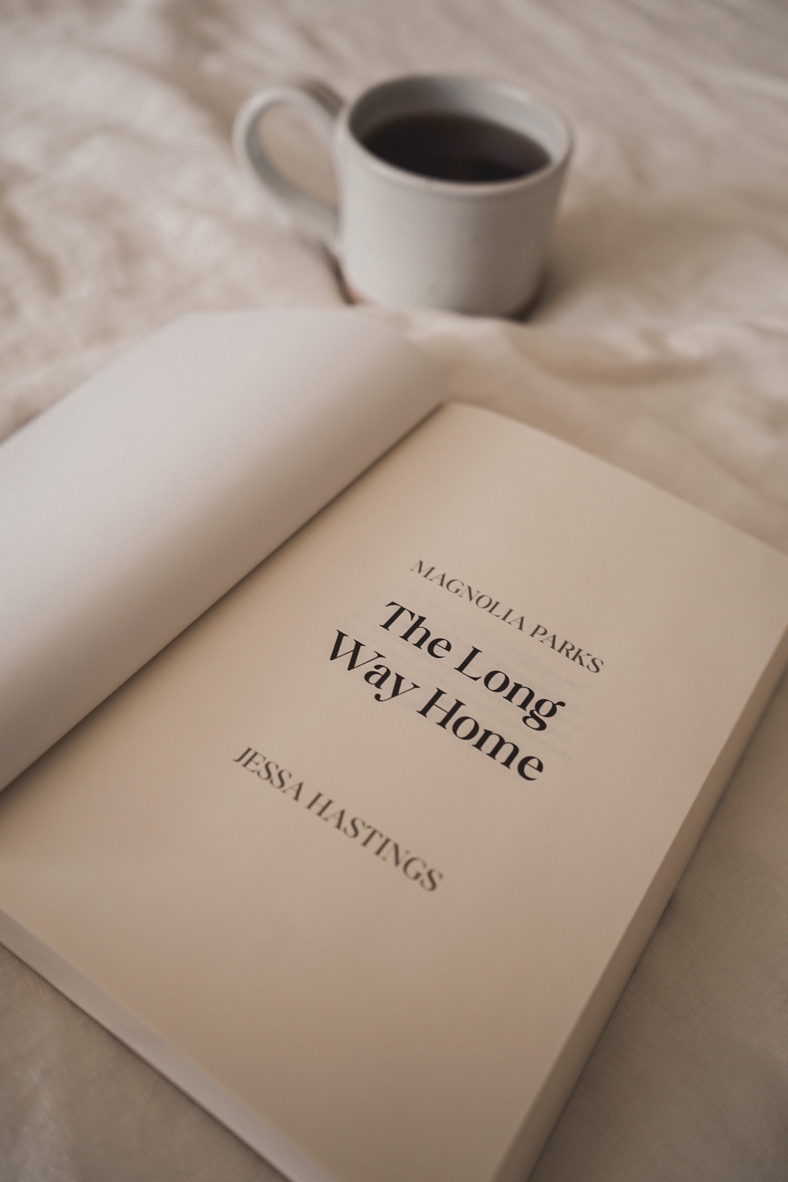 Magnolia Parks: The Long Way Home (Magnolia Parks #2) by Jessa Hastings Summary