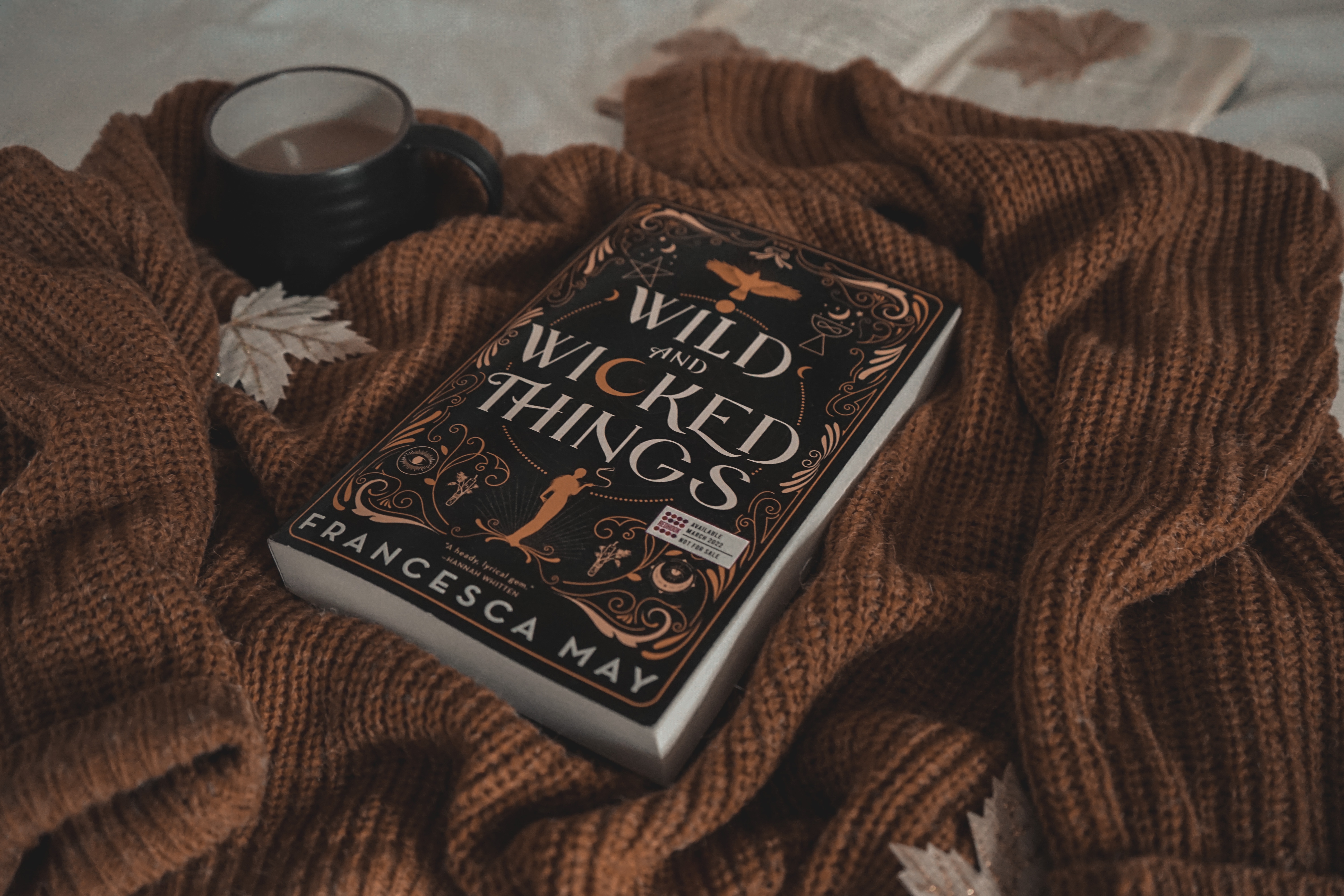 Wild and Wicked Things by Francesca May